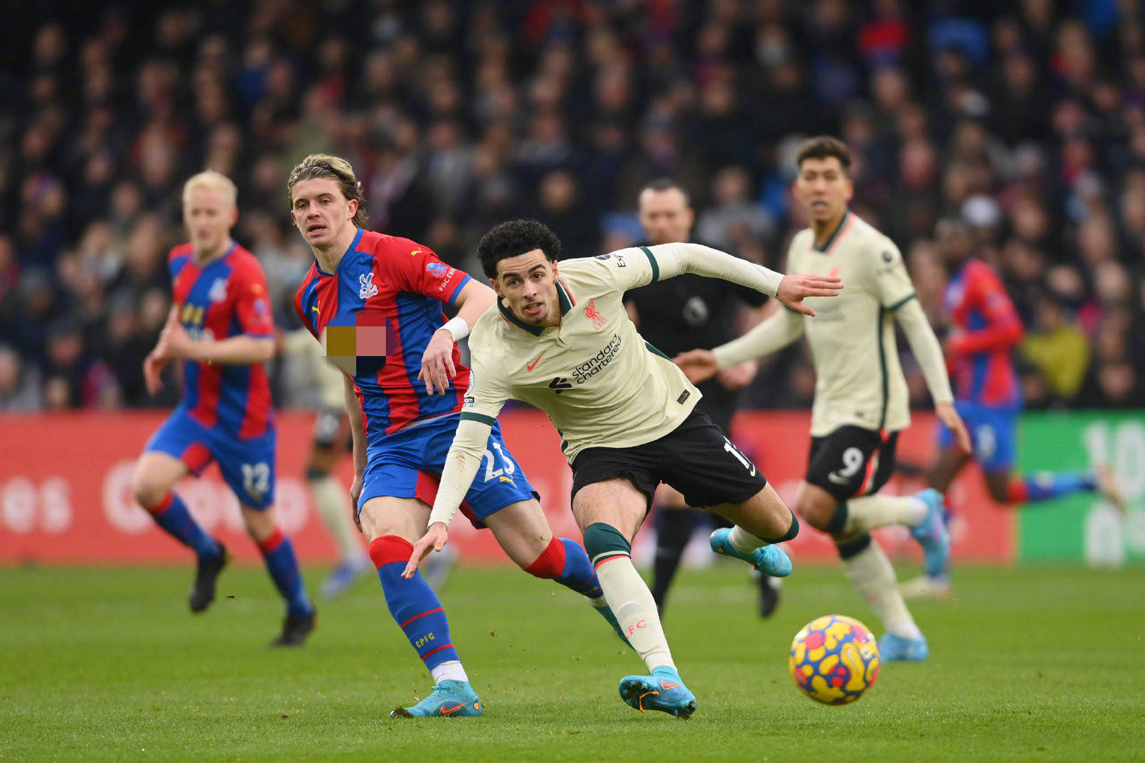 的交易行为 的交易行为